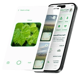 Ask Agri Expert